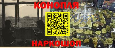 крисы Тулун