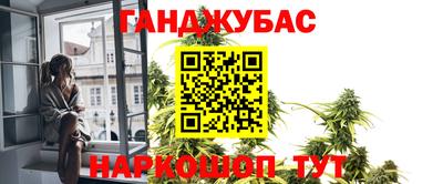 крисы Тулун